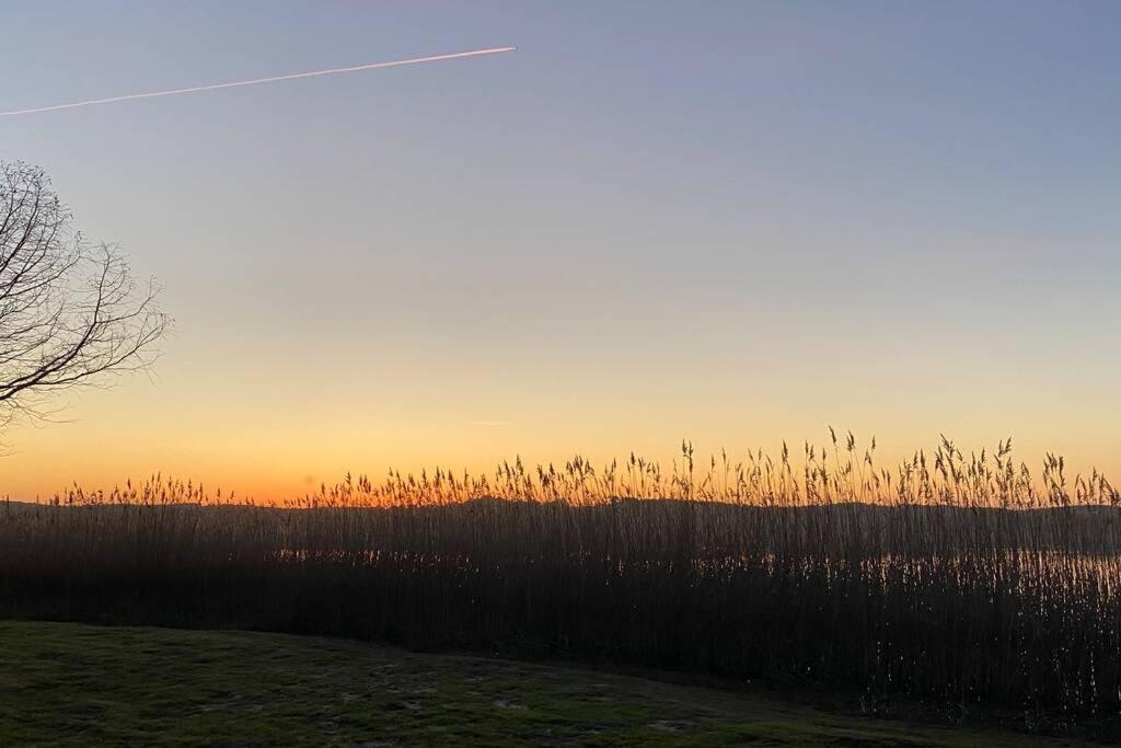 La Part Du Lac, Wifi, Terasse, Piscine, Velos Aureilhan  Exteriör bild